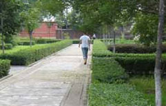 A Walk in the Park | ChinesePod