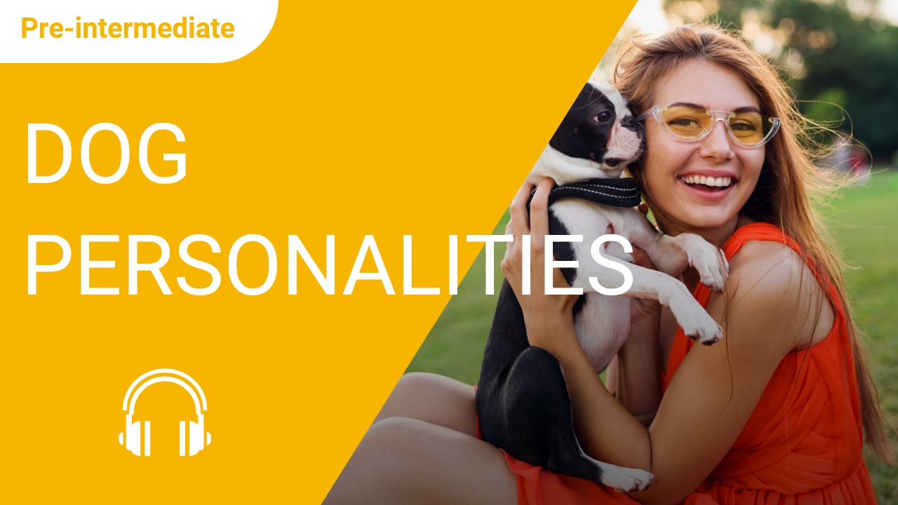 Dog Personalities | ChinesePod