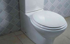 The Clogged Toilet | ChinesePod