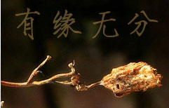 Lili and Zhang Liang 16: It's Over | ChinesePod