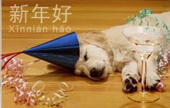 New Year's Song | ChinesePod