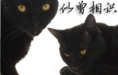 似曾相识 | ChinesePod