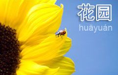 Flowers and Bugs | ChinesePod