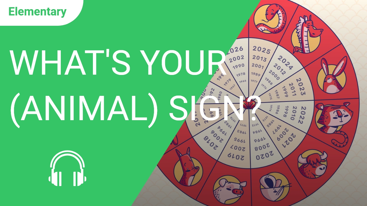 What's your (animal) sign? | ChinesePod