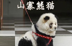 山寨 | ChinesePod