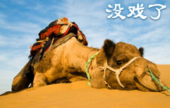 Lost in the Desert | ChinesePod