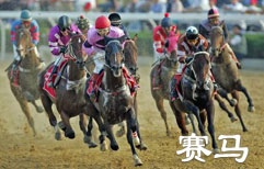 A Day at the Races | ChinesePod