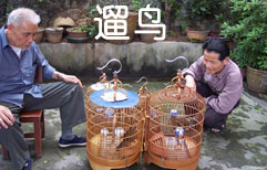 Getting Old Isn't Easy | ChinesePod