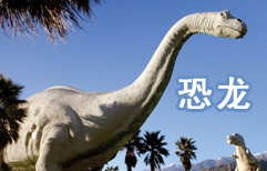 Dinosaurs | ChinesePod