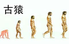 人类的起源 | ChinesePod