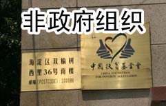 NGO Guy | ChinesePod