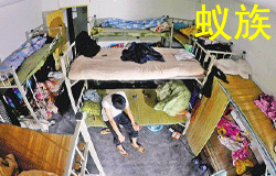 蚁族 | ChinesePod