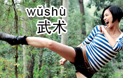 Practicing Kung Fu | ChinesePod