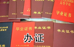 学历造假 | ChinesePod