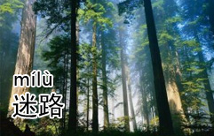 We're lost | ChinesePod