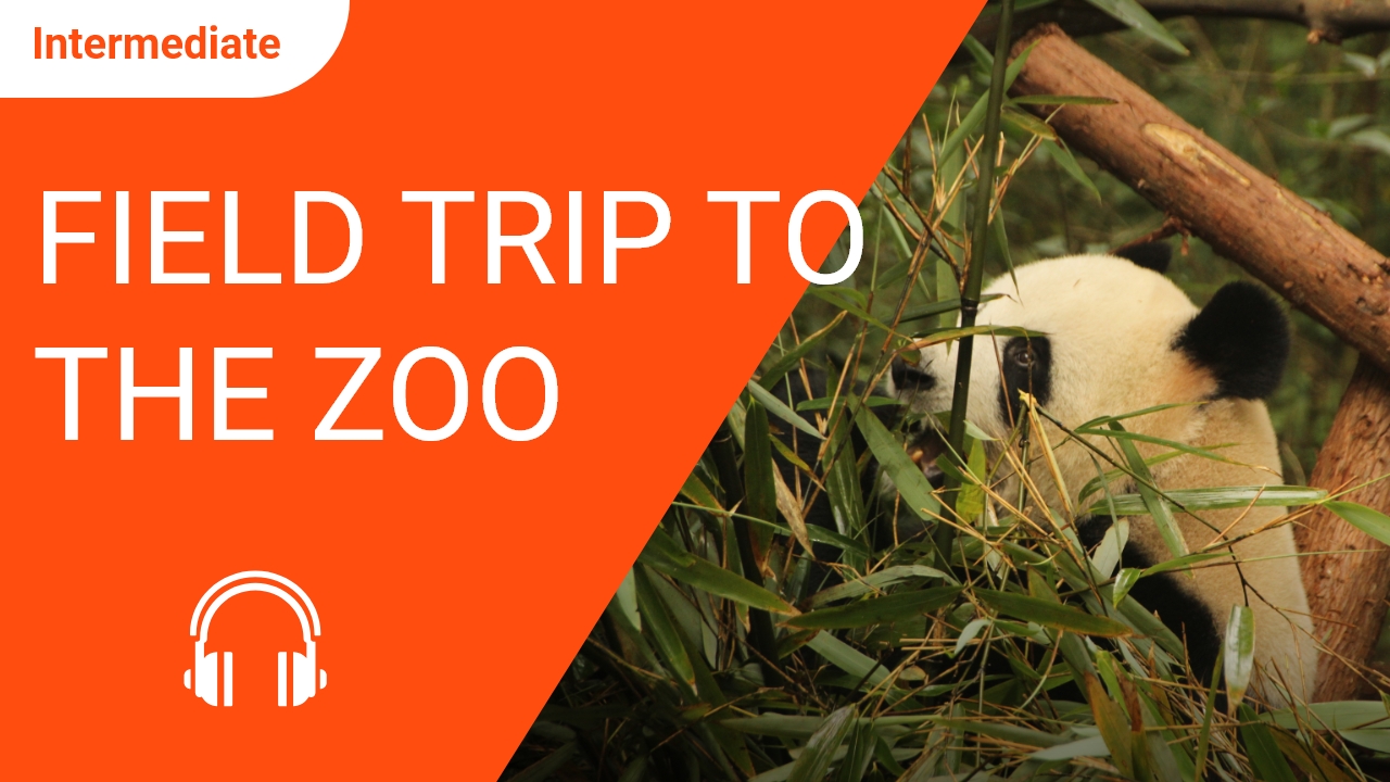 Field Trip to the Zoo | ChinesePod