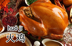 Thanksgiving Turkey | ChinesePod