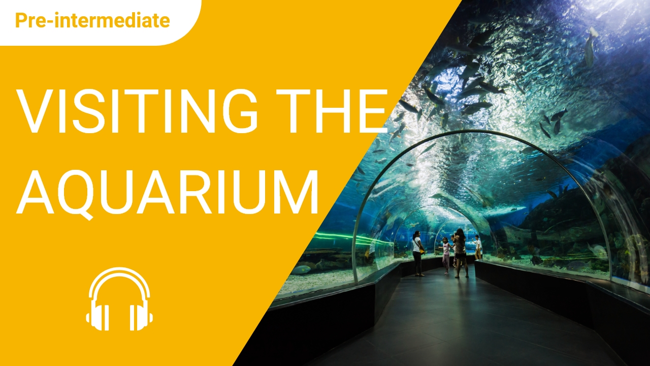 Visiting the Aquarium | ChinesePod