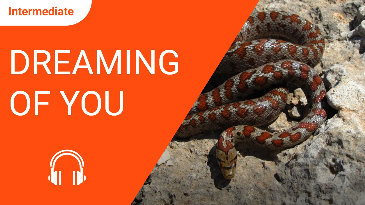 Dreaming of You | ChinesePod