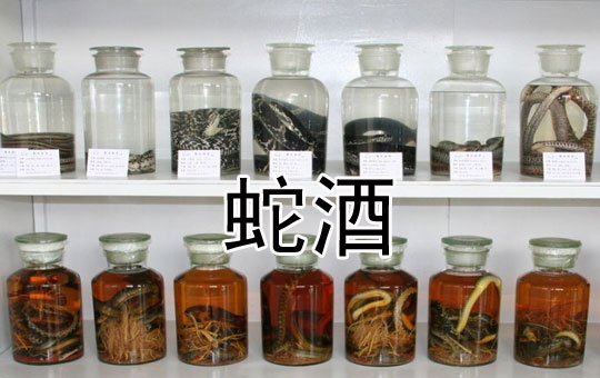 蛇的价值 | ChinesePod