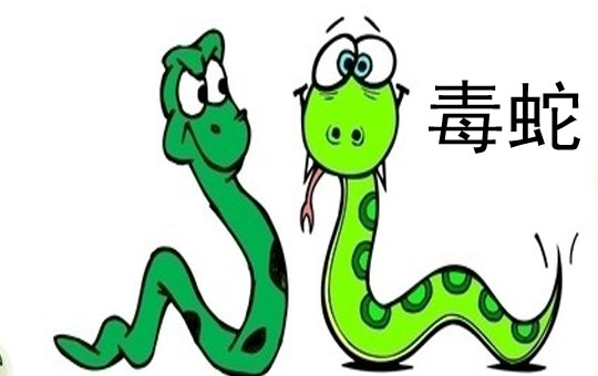 Papa Snake and Baby Snake | ChinesePod