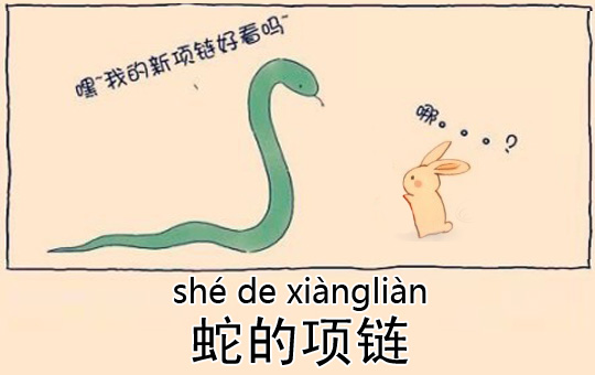 Snake's New Necklace | ChinesePod