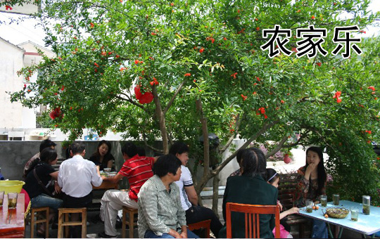 Farm Life Tourism | ChinesePod