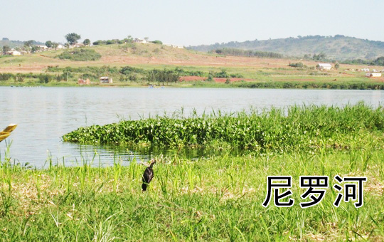 Africa's Great Rivers | ChinesePod