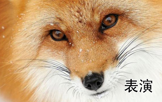 Animal Roles for the School Play | ChinesePod