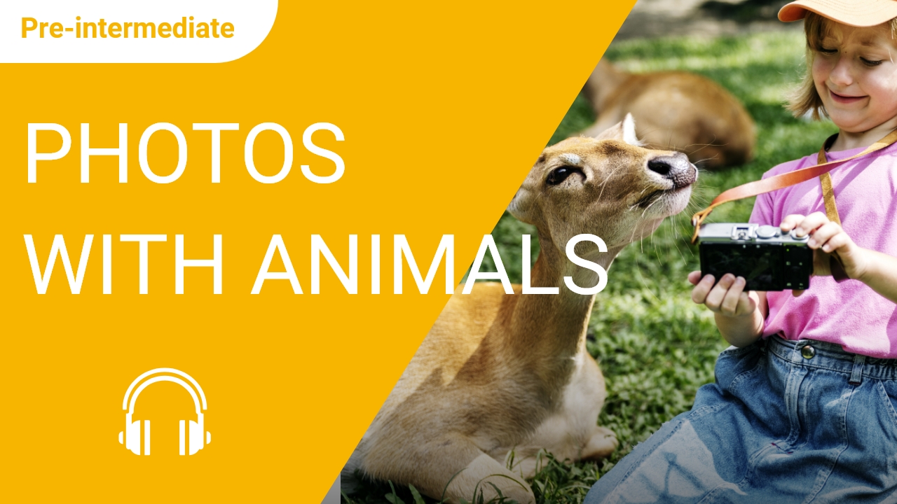  Photos with Animals | ChinesePod