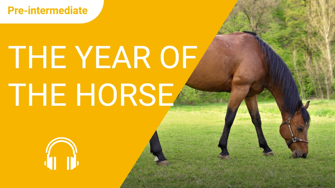 The Year of the Horse | ChinesePod