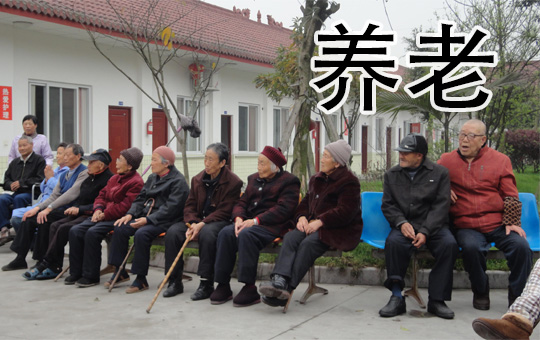 以房养老 | ChinesePod