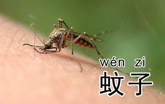 Those Pesky Mosquitos! | ChinesePod
