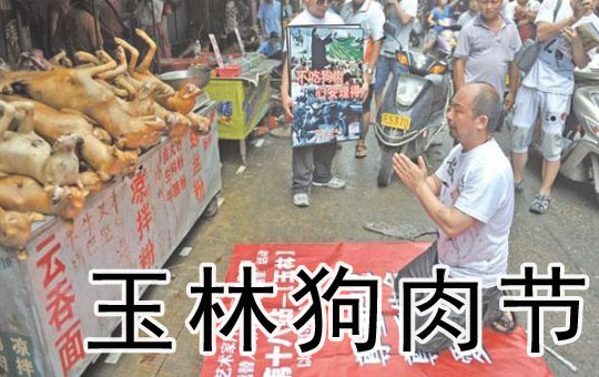 玉林狗肉节 | ChinesePod