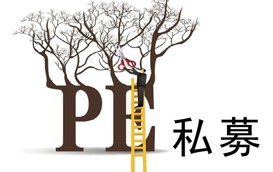 Private vs. Public Placement | ChinesePod