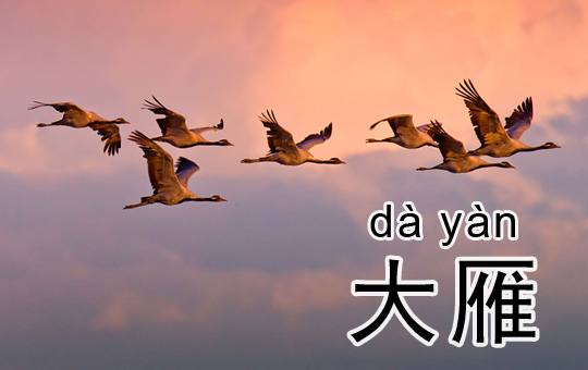 Fall is here! | ChinesePod