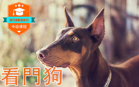 Buying a Guard Dog | ChinesePod