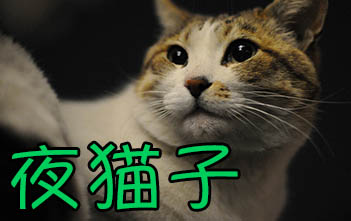 Are You A Night Cat? | ChinesePod
