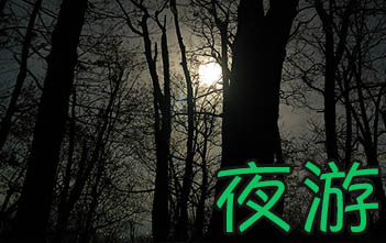 Exploring Nature At Night | ChinesePod