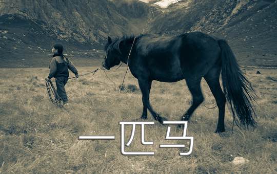 Such a Cute Horse | ChinesePod