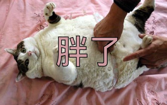 Festive Fatness | ChinesePod