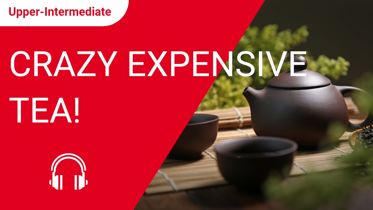 Crazy Expensive Tea! | ChinesePod