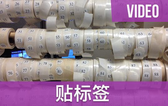 贴标签:Labelling People | ChinesePod