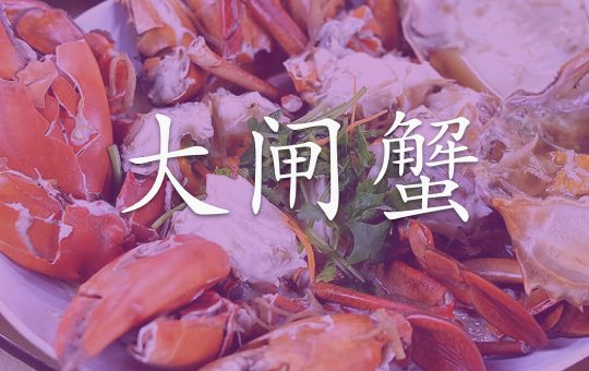 大闸蟹 Chinese Mitten Crab | ChinesePod