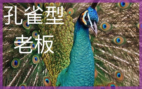管理老板 | ChinesePod