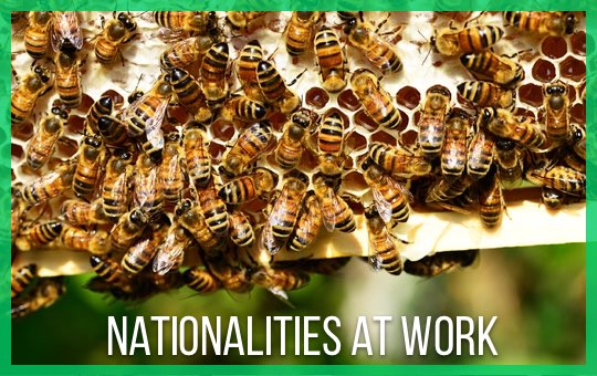 Nationalities at Work | ChinesePod