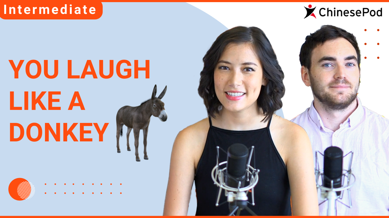 You Laugh Like a Donkey | ChinesePod