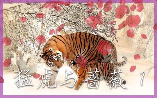猛虎与蔷薇 Part 1 | ChinesePod
