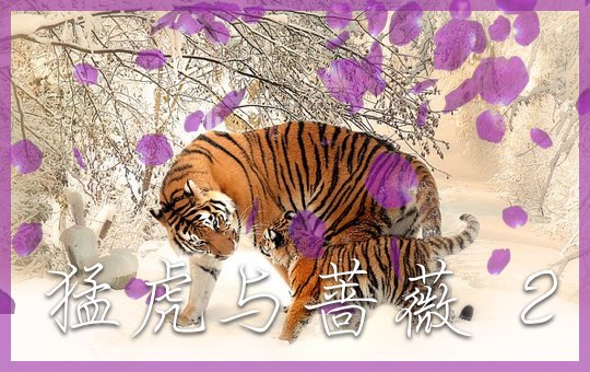 猛虎与蔷薇 Part 2 | ChinesePod