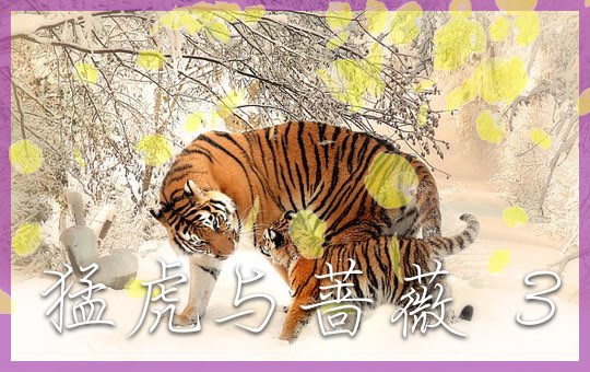 猛虎与蔷薇 Part 3 | ChinesePod